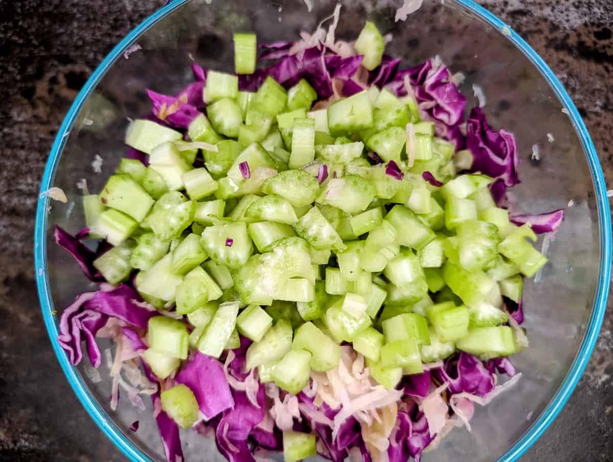 Cabbage and sauerkraut slaw. add celery to mixed cabbage and sauerkraut.