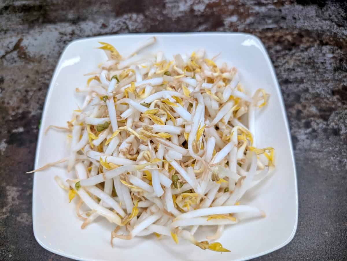 Bibimbap, step 1, decide if the mung bean sprouts will be cooked or raw.