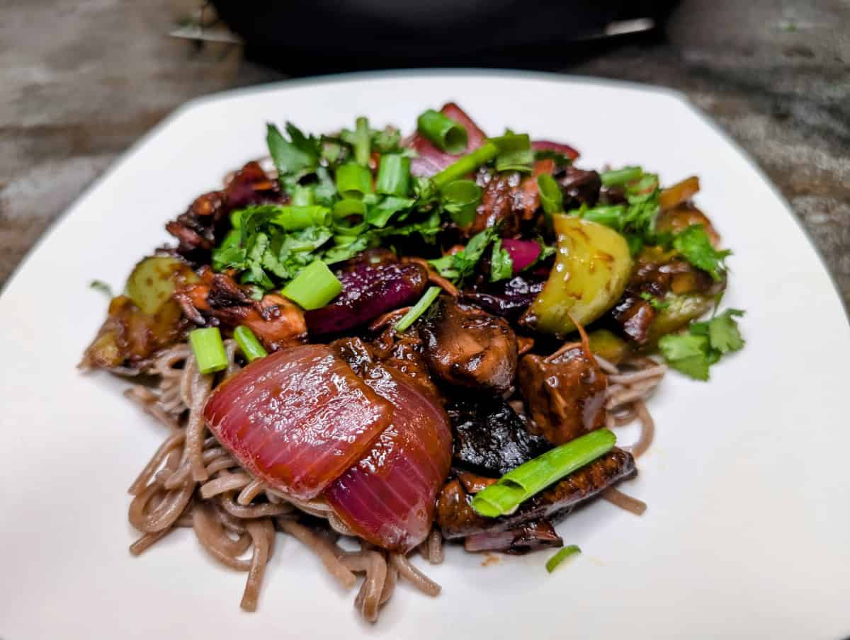 Bulgogi over soba noodles, topped with cilantro and scallions