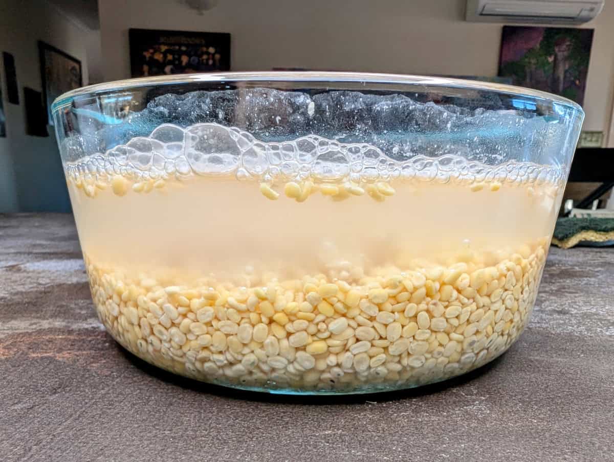 Mung Bean Pancakes, Step 1, Cover the beans in water and soak.