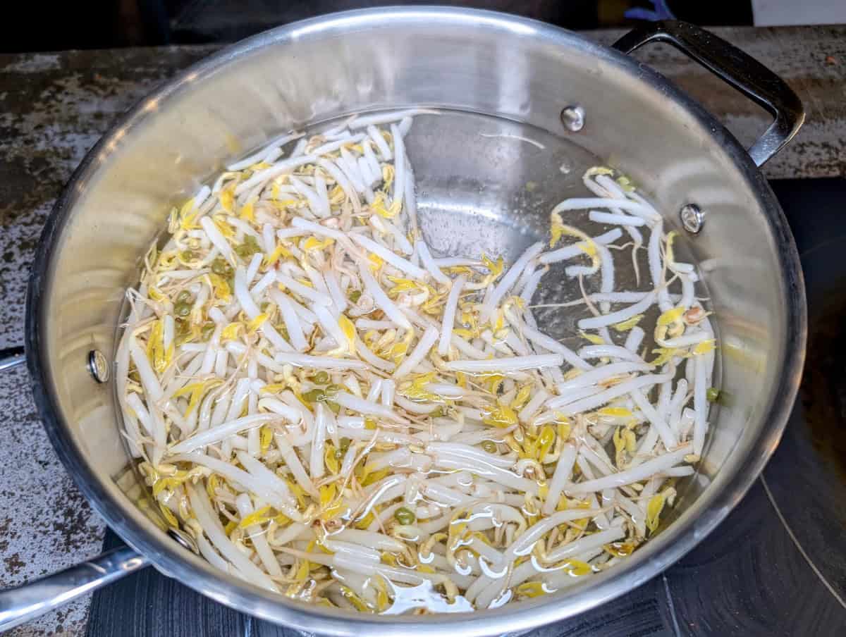 Mung Bean Pancakes, Step 4, Blanch the mung bean sprouts in boiling water for 2 minutes.