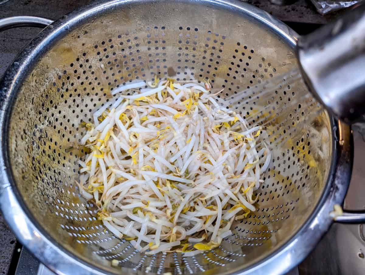 Mung Bean Pancakes, Step 5, Drain the mung bean sprouts and immediately cool with cold water.