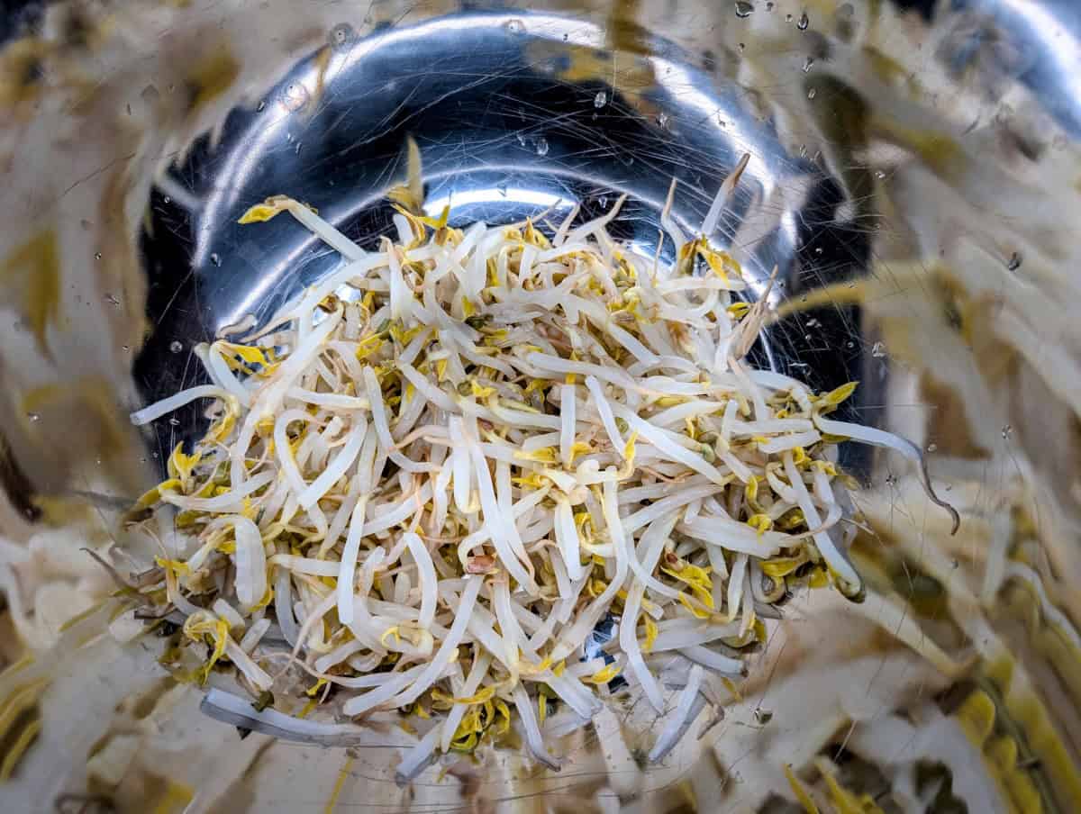 Mung Bean Pancakes, Step 6, Add the mung bean sprouts to a large bowl.