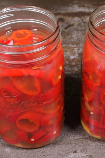 quick pickled hot peppers in jar with brine